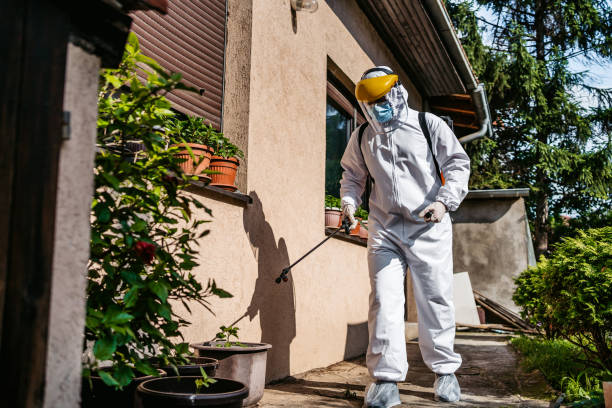 Best Flea Control Services  in Ottawa, IL