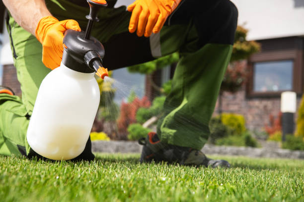 Professional Pest Control in Ottawa, IL