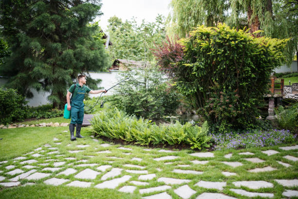 Best Affordable Pest Control Services  in Ottawa, IL