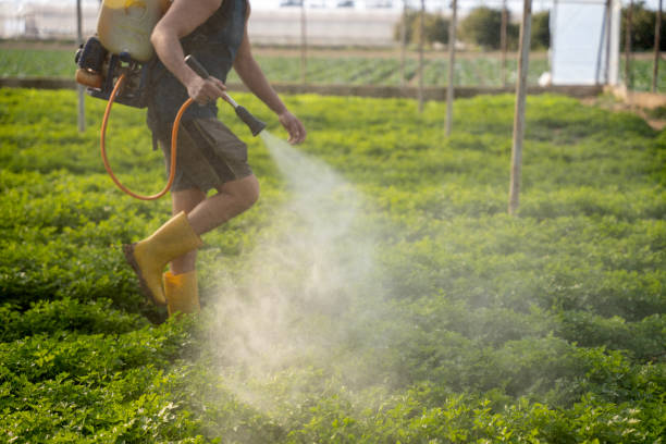 Best Residential Pest Control  in Ottawa, IL