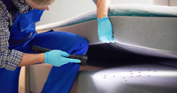 Best Best Pest Control Companies  in Ottawa, IL
