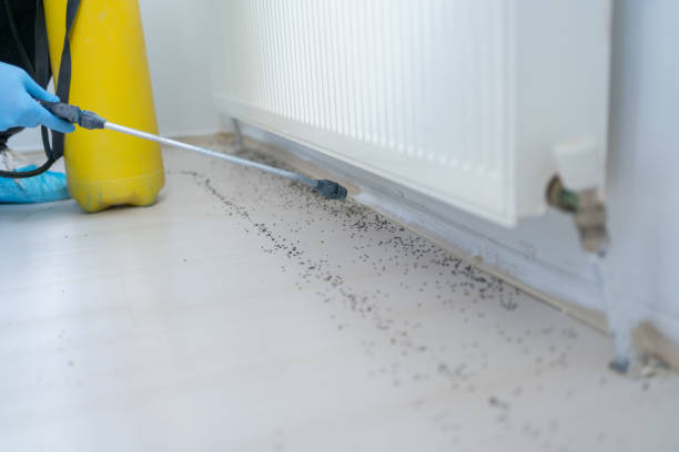 Best Pest Prevention Services  in Ottawa, IL