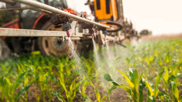 Best Local Pest Control Services  in Ottawa, IL